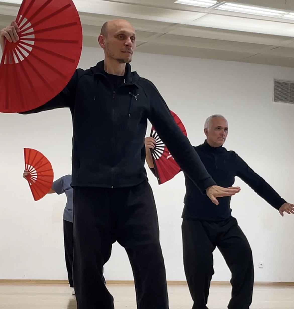 Stages De Qi Gong Et De Taiji Le Week End Du Mai Ph Nix Et